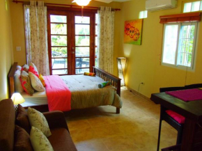 Отель Casa del Sol Bed and Breakfast  Contadora